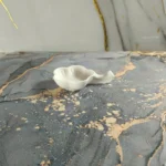 Salsero con forma de flor